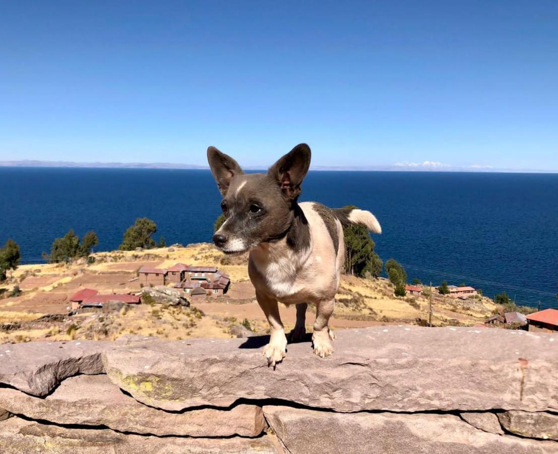 Taquile Lodge - Un Lugar De Ensueno Huillanopampa Bagian luar foto